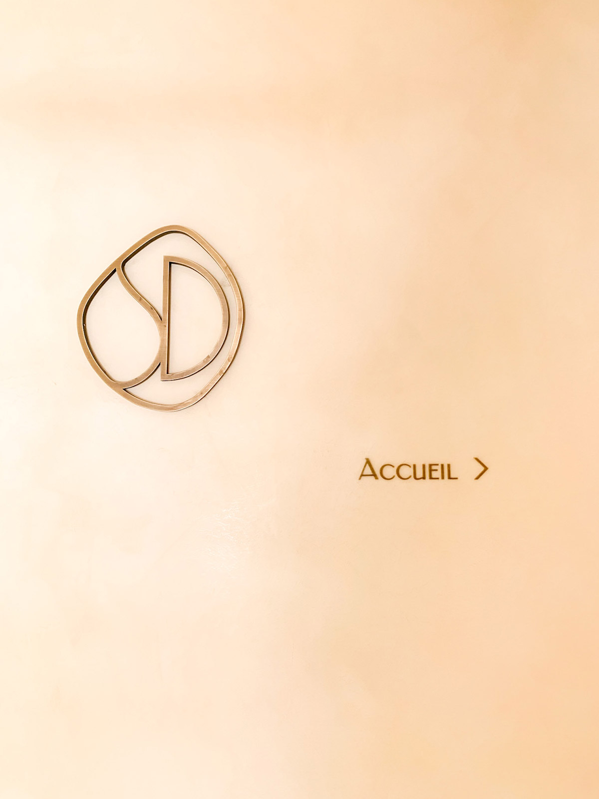 accueil maison sophie domergue