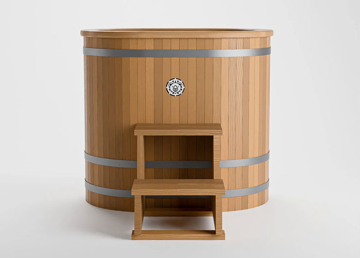 protocole reset épigénétique