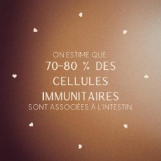 instagram maison sophie domergue